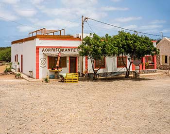 €€ - Farm with restaurant, on North Road, in Cabeça de Tarafes. Possibility of trekking on horseback, sale of typical local products!
