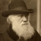 Charles Darwin en Cap Vert