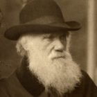 Charles Darwin