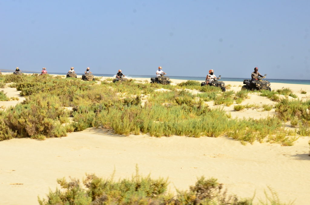 Quad giornata intera - nel cuore di Boa Vista